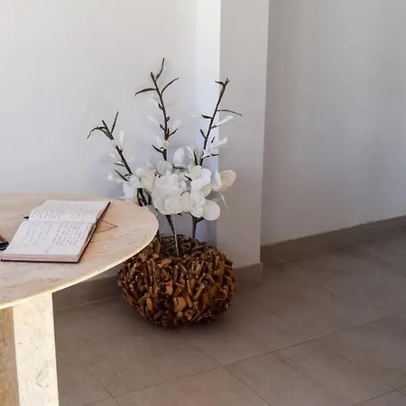 Apartamento Alexia - Brisa - Puerto Pollensa.